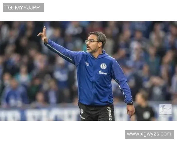 汉堡陷入保级泥潭,形势堪忧!